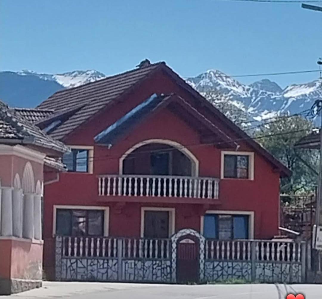 Serena House Cartisoara Exterior foto